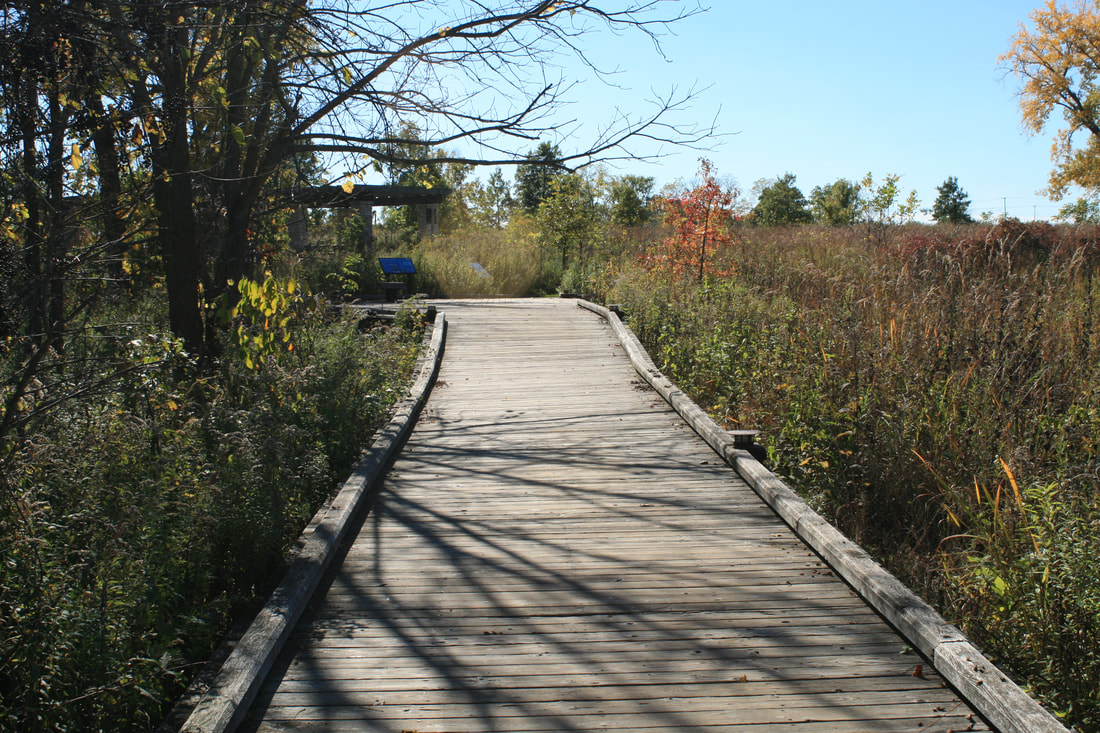 boardwalk-prairie-summer_orig