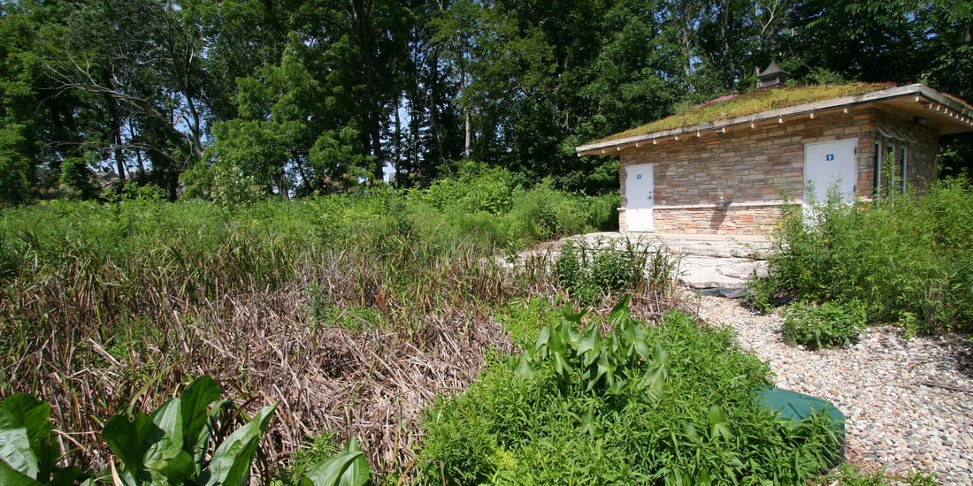 green-roofed-restrooms-wastewater-wetland-cell-vegetation-2_orig