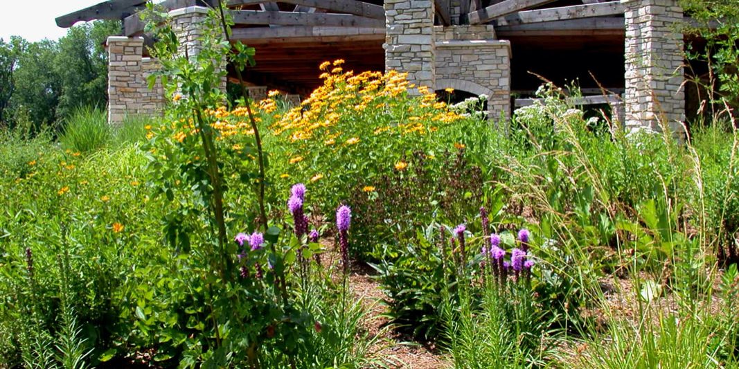 pavilion-vegetation-new-around-1998_orig
